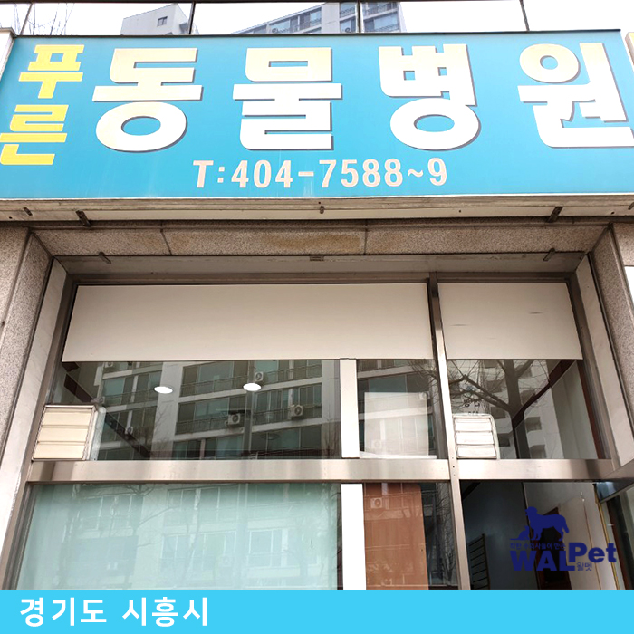 강아지 · 고양이 중성화 수술 [푸른 동물병원]