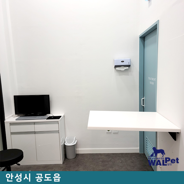강아지 · 고양이 중성화 [웰니스 동물병원 안성점]
