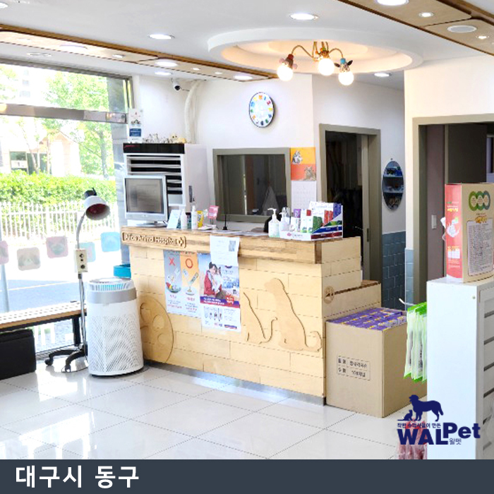 강아지 · 고양이 유선종양 수술 [앨리스 동물병원 신서점]