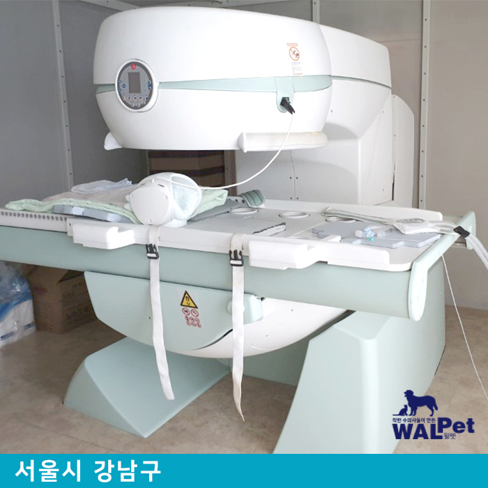 강아지 · 고양이 MRI 영상 검진 [닥터펫 동물의료센터]