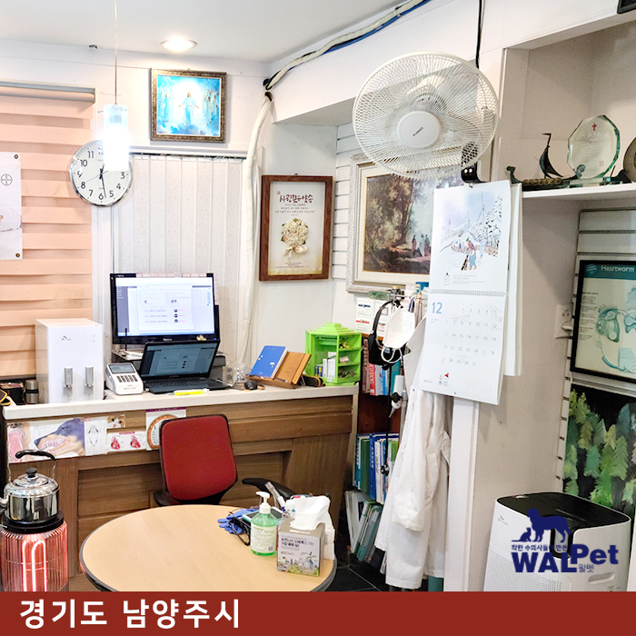 강아지 · 고양이 예방접종 [참사랑 동물병원]