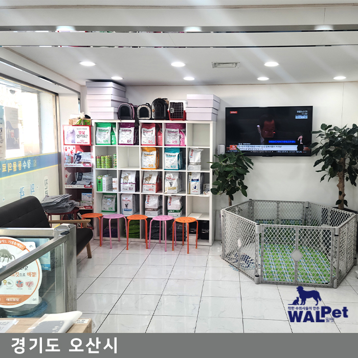 강아지 슬개골 탈구 수술 [장수동물의료원]