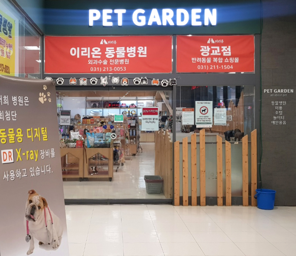 강아지 · 고양이 스케일링[이리온 동물병원]