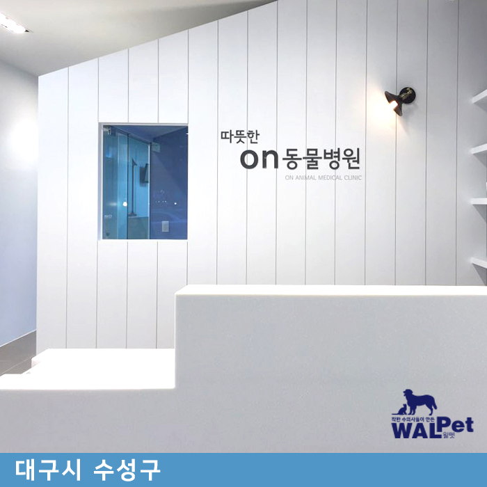 강아지·고양이 유선종양 제거수술 [따뜻한ON동물병원]