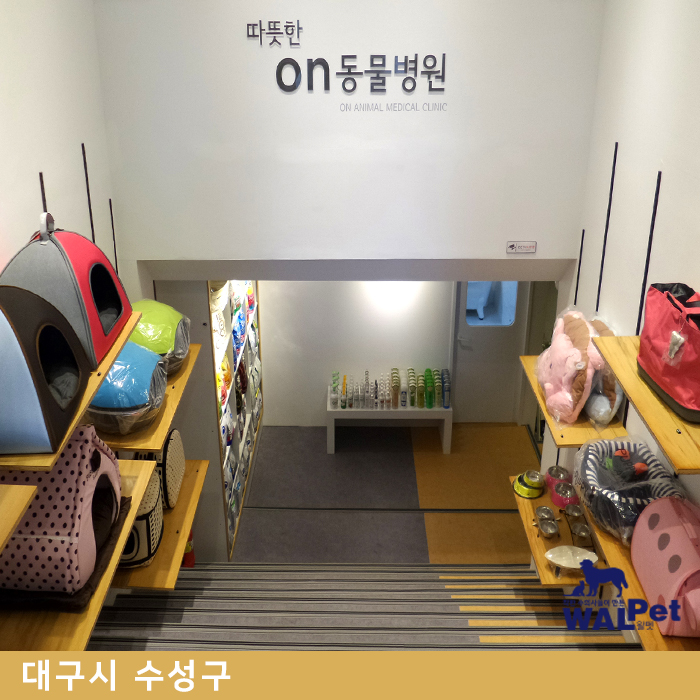 강아지·고양이 경계성종양 제거수술 [따뜻한ON동물병원]