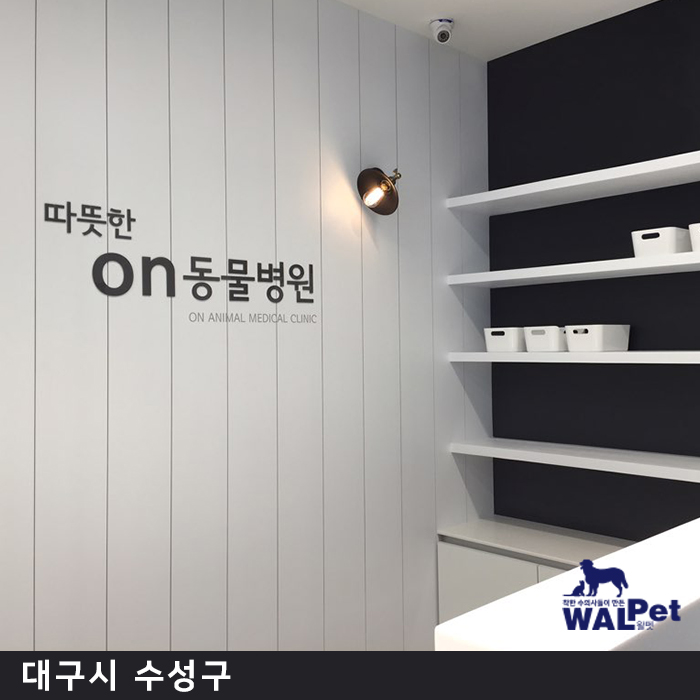 강아지·고양이 탈장수술 [따뜻한ON동물병원]