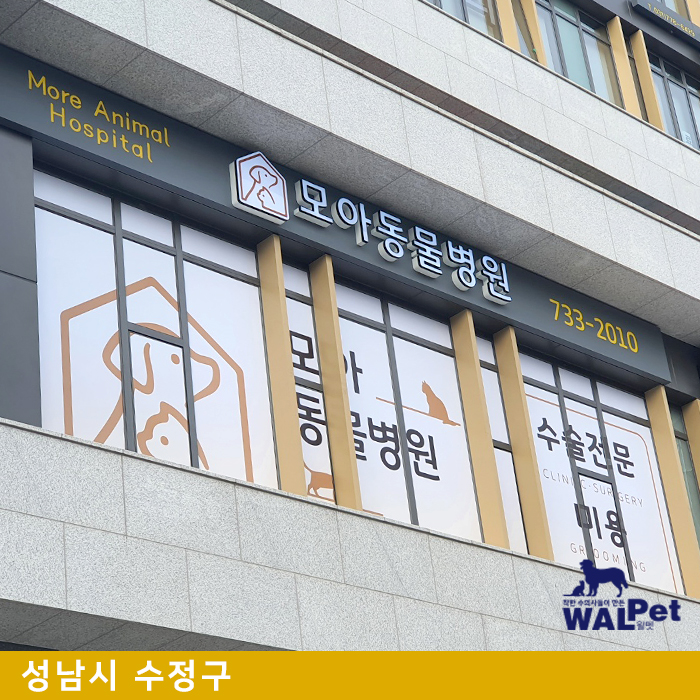 강아지·고양이 건강검진 [모아 동물병원]