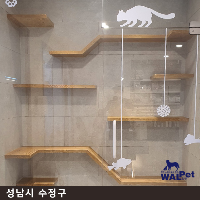 체리아이 수술 [모아 동물병원]