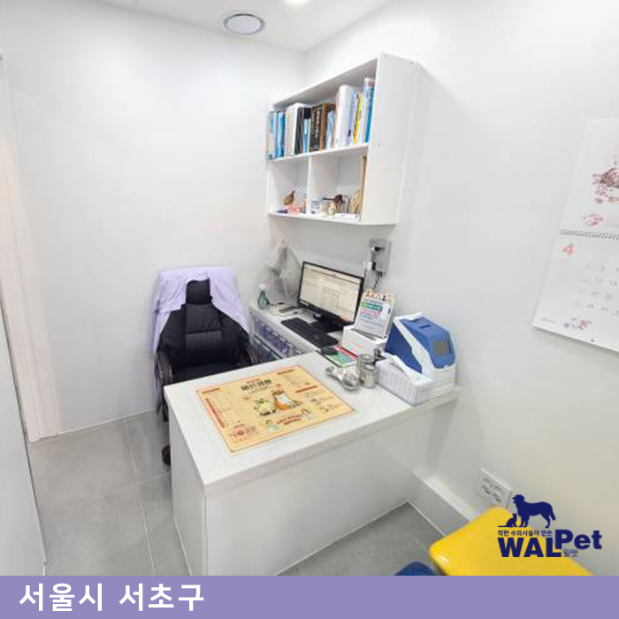 강아지 · 고양이 스케일링 [레스펫 동물병원]