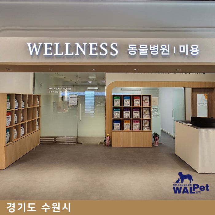 웰니스동물병원 수원점 [경기도 수원]